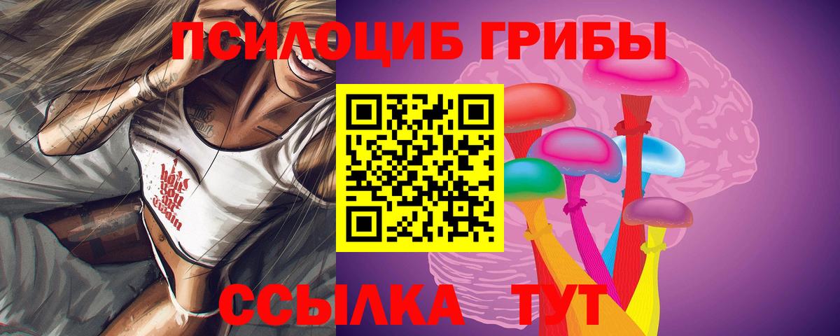 Галлюциногенные грибы Psilocybe  Псилоцибиновые грибы GOLDEN TEACHER  Нижневартовск  Вход с VPN 